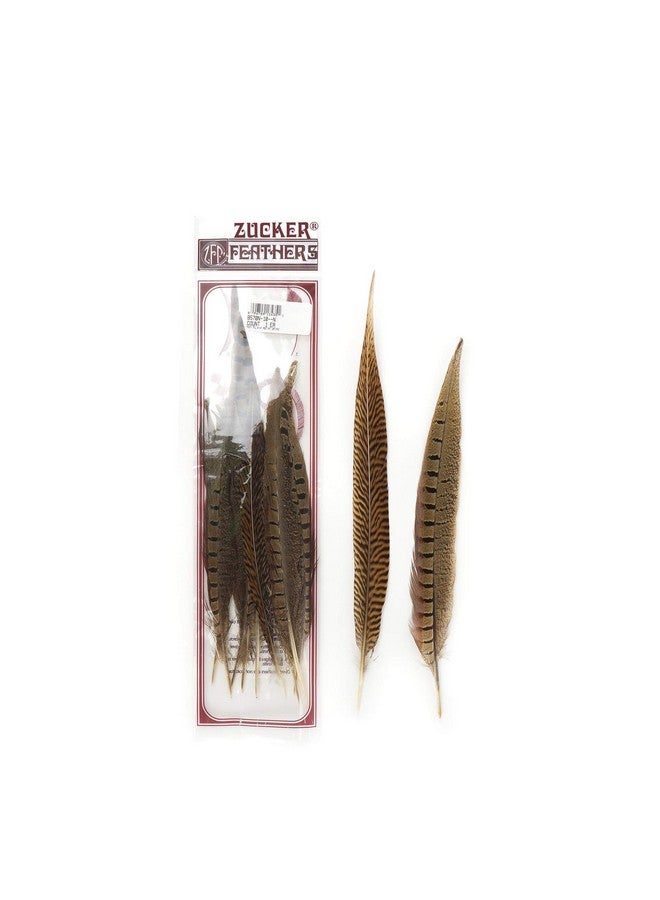 ZUCKER Pheasant Tail Feather Craft Supplies 814 Golden Brown Natural Home Decor 10Pcs - Image 5