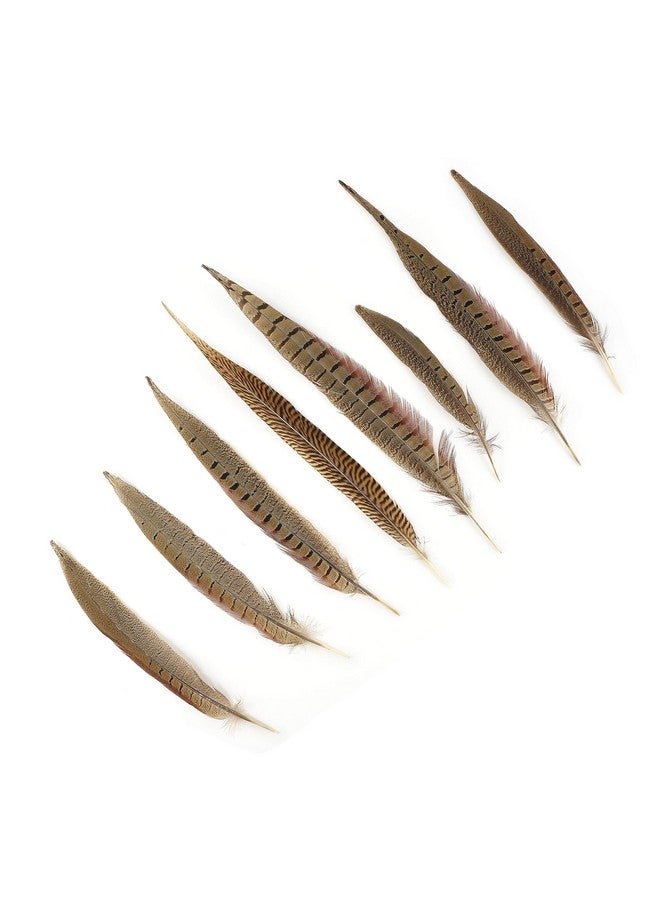 ZUCKER Pheasant Tail Feather Craft Supplies 814 Golden Brown Natural Home Decor 10Pcs - Image 2
