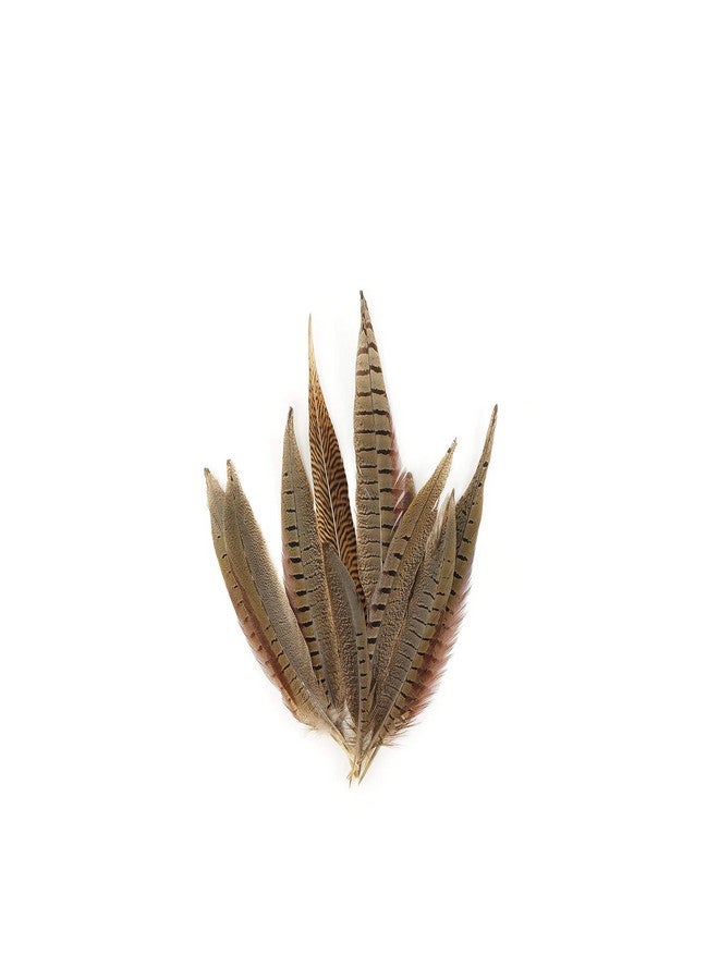 ZUCKER Pheasant Tail Feather Craft Supplies 814 Golden Brown Natural Home Decor 10Pcs - Image 1