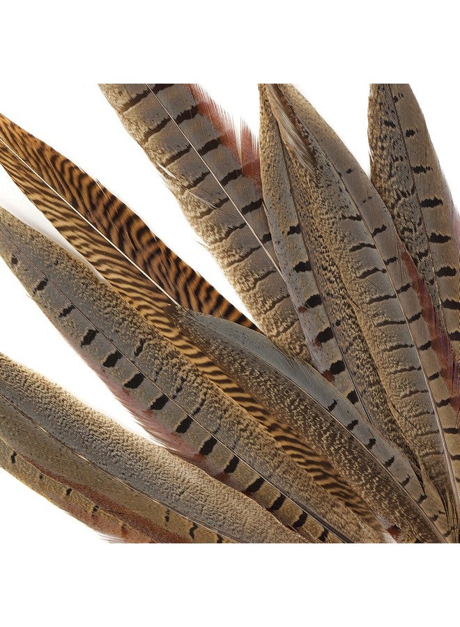 ZUCKER Pheasant Tail Feather Craft Supplies 814 Golden Brown Natural Home Decor 10Pcs - Image 4