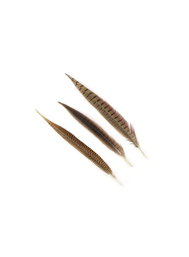 ZUCKER Pheasant Tail Feather Craft Supplies 814 Golden Brown Natural Home Decor 10Pcs - Image 3