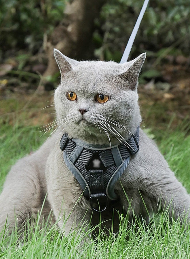 Dog Harness and Leash Set for Small Medium Large Dogs ,Adjustable And Breathable Chest-Back Style Pet Leash,Reflective Harness for Small Dogs and Cats (Grey) - Image 2