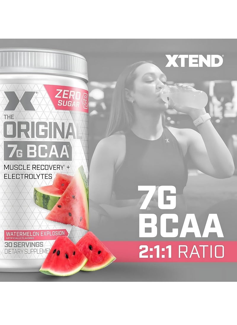 اسكتيند مسحوق إكستند BCAA - نكهة البطيخ المتفجرة | ٣٠ حصة | ٧ غرامات من الأحماض الأمينية المتفرعة السلسلة | دعم رياضي خالٍ من السكر للرجال والنساء  - Image 5