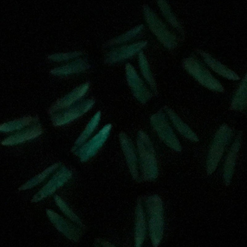 20pcs Luminous Simulation Dragonflies Pin Type Dragonfly Decor Flower Arranging Accessories for Curtain Flower Pot (Mixed Colors) - Image 3