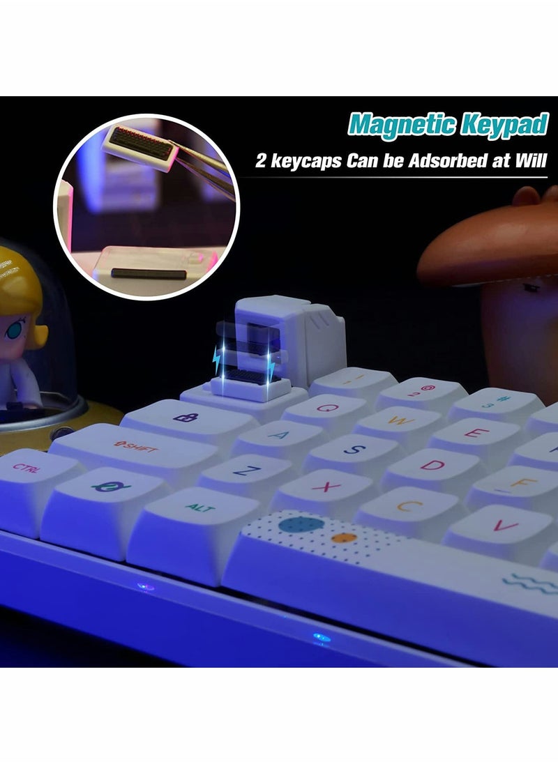 KASTWAVE - Custom Keycaps for Esc Key and Tab Key, Magnetic Light Transmission Keycaps, Classic Retro Mechanical Backlit Keyboard Esc Tab Keycap for GK61 GK64 SK87 GH60 PC Gamer ect Most Keyboard (White) - Image 1