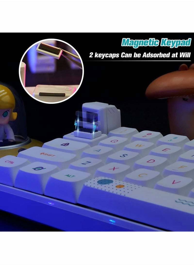 KASTWAVE - Custom Keycaps for Esc Key and Tab Key, Magnetic Light Transmission Keycaps, Classic Retro Mechanical Backlit Keyboard Esc Tab Keycap for GK61 GK64 SK87 GH60 PC Gamer ect Most Keyboard (White) - Image 1