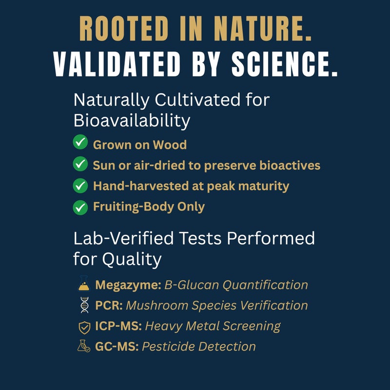 Monkey Brew Original - USDA Organic Mushroom Tea Drink - Non-Caffeinated Mushroom Coffee Alternative with Cacao Powder, Lion's Mane, Turkey Tail, Ashwagandha, Turmeric - Boosts Energy Focus & Immunity - Image 3