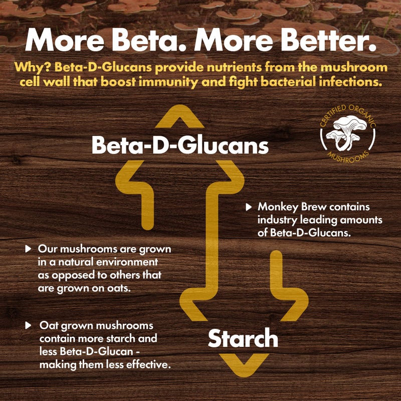 Monkey Brew Original - USDA Organic Mushroom Tea Drink - Non-Caffeinated Mushroom Coffee Alternative with Cacao Powder, Lion's Mane, Turkey Tail, Ashwagandha, Turmeric - Boosts Energy Focus & Immunity - Image 5