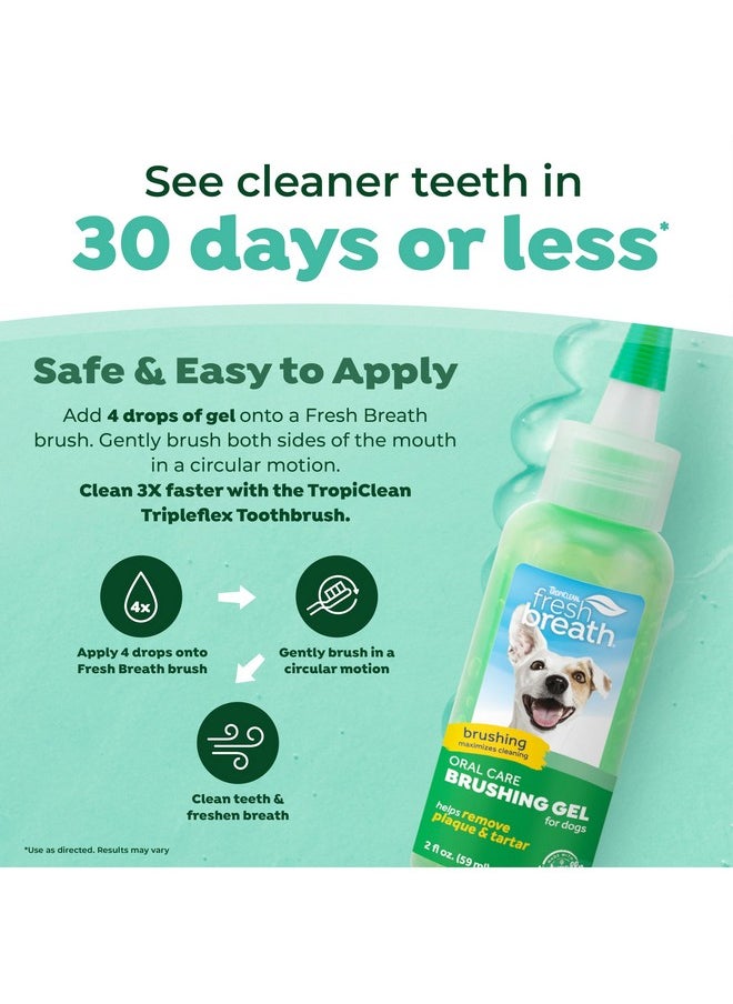 TropiClean - TropiClean Oral Care Brushing Gel for Dogs & Cats| Dog Toothpaste | Pet Dental Gel | Dog Teeth Cleaning Use with Pet Toothbrush | 2 oz - Image 1