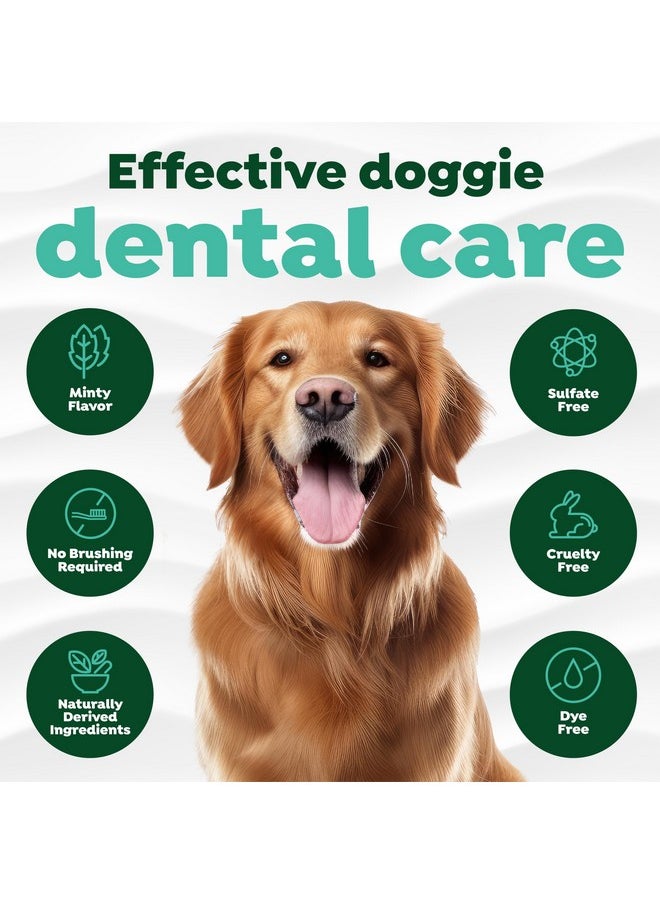 TropiClean - TropiClean Oral Care Brushing Gel for Dogs & Cats| Dog Toothpaste | Pet Dental Gel | Dog Teeth Cleaning Use with Pet Toothbrush | 2 oz - Image 1