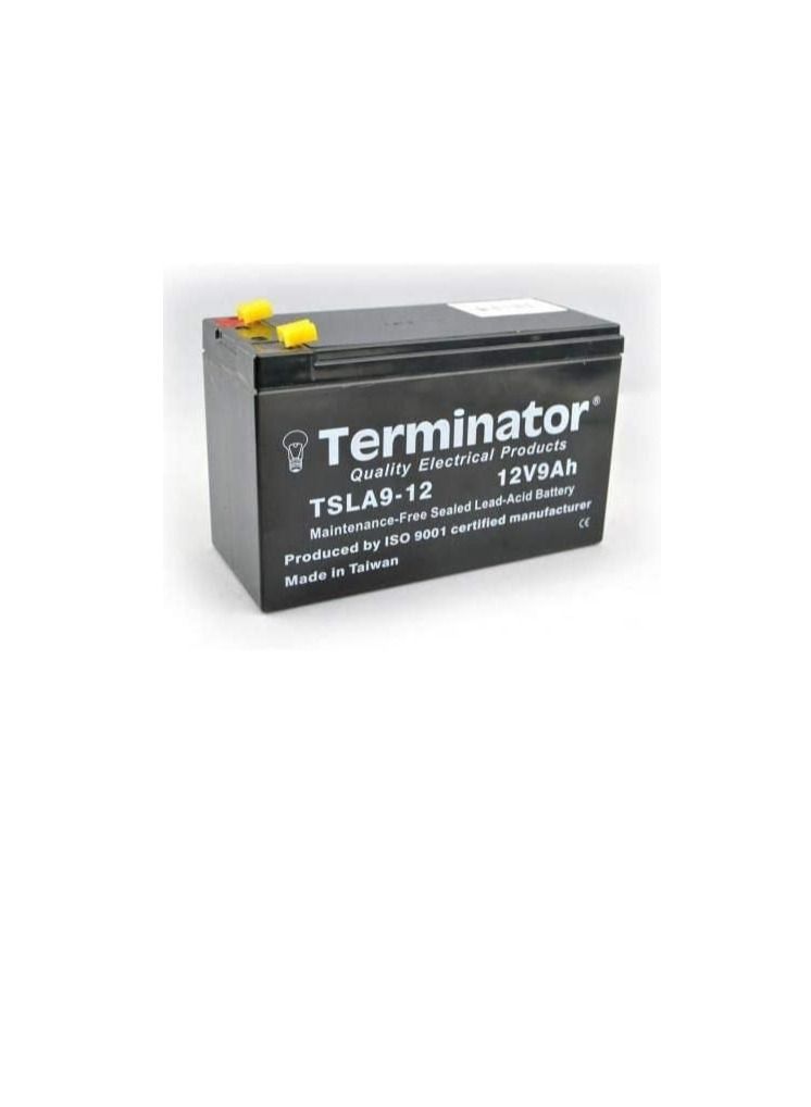 Terminator Maintenance free Sealed Lead Acid Battery TSLA9-12 - Image 3