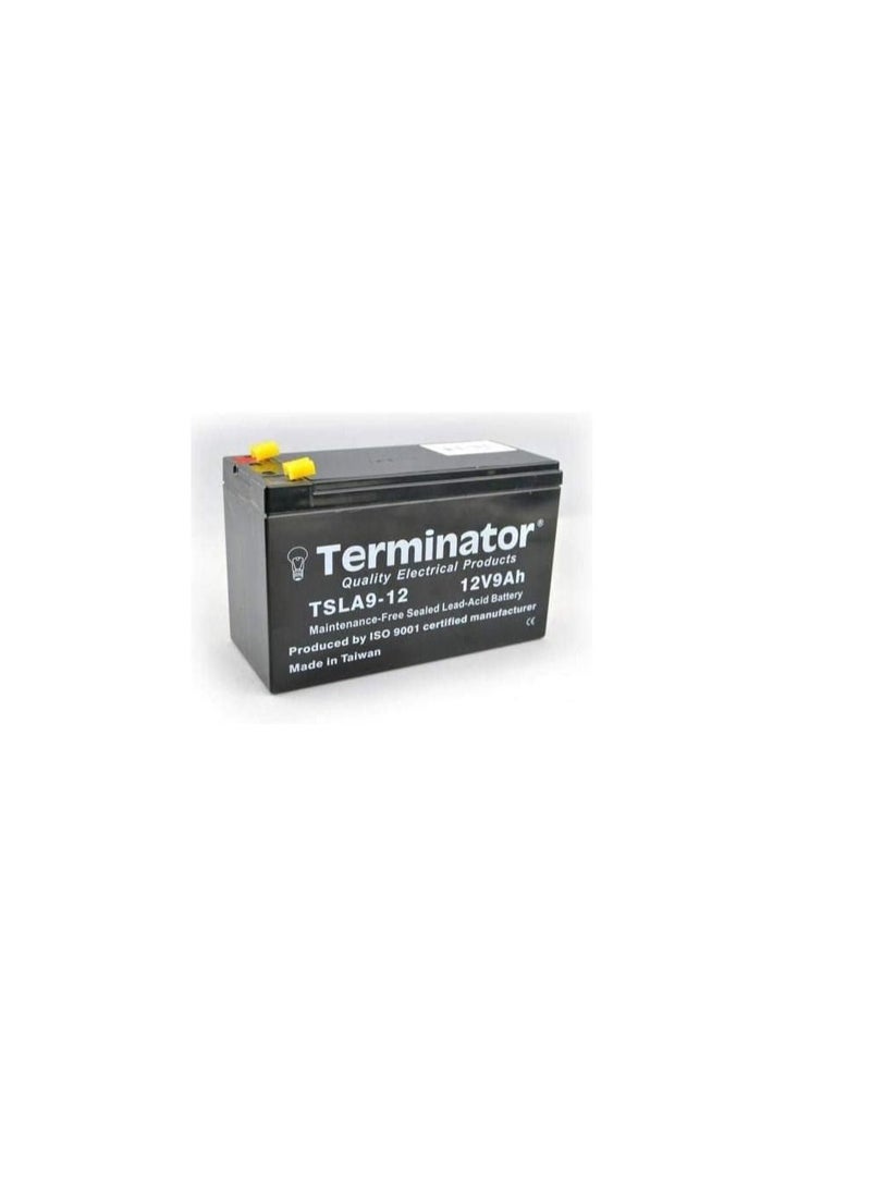 Terminator Maintenance free Sealed Lead Acid Battery TSLA9-12 - Image 1