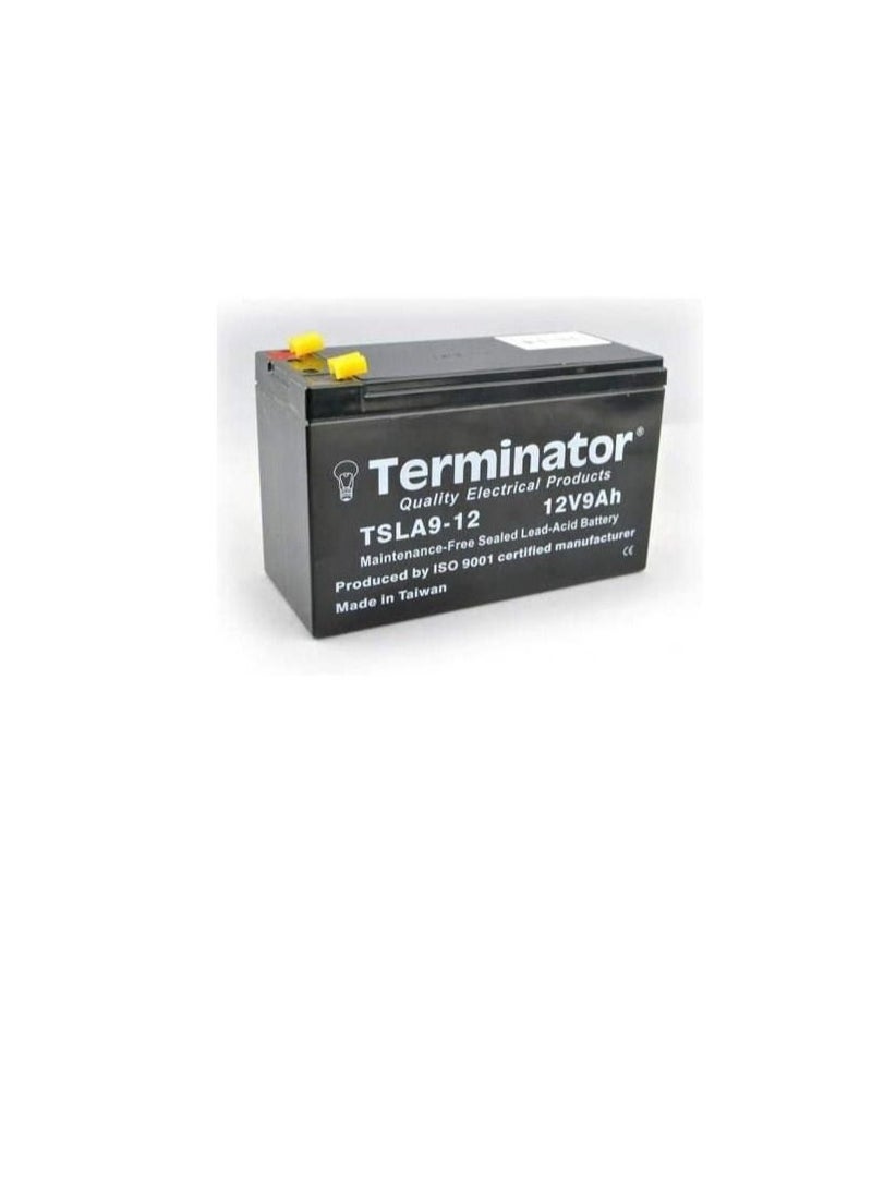 Terminator Maintenance free Sealed Lead Acid Battery TSLA9-12 - Image 2