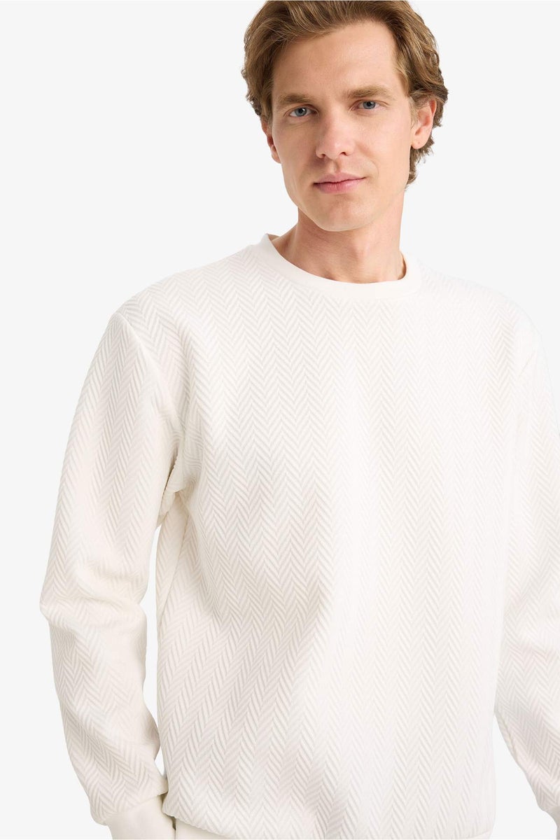 DeFacto Regular Fit Long Sleeve Sweatshirt - Image 1