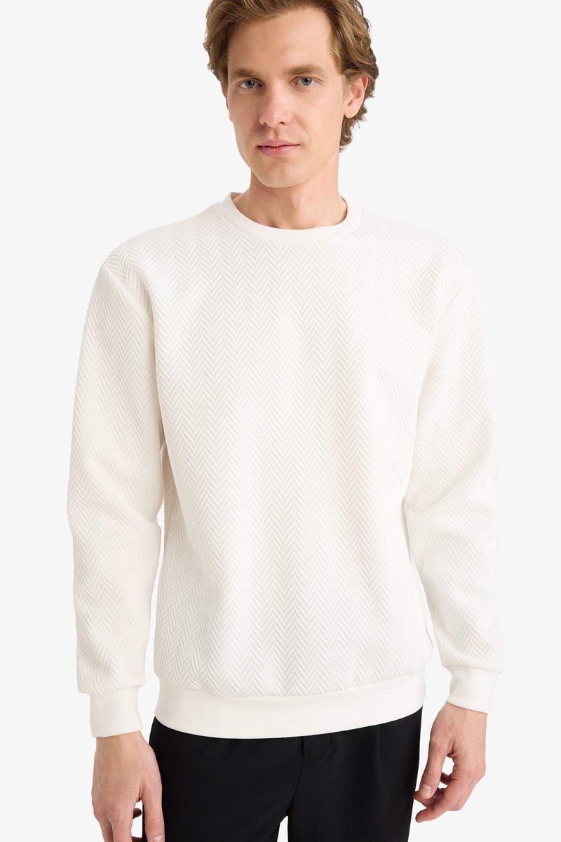 DeFacto Regular Fit Long Sleeve Sweatshirt - Image 3