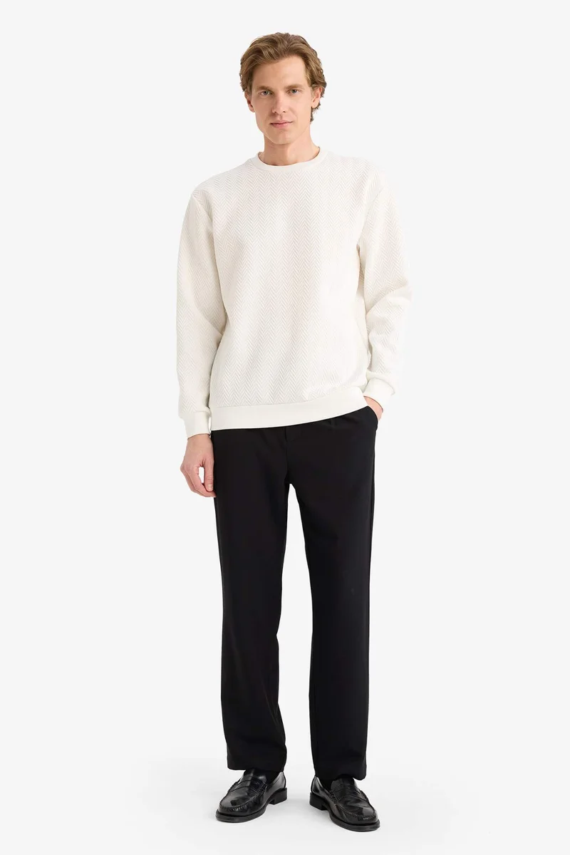 DeFacto Regular Fit Long Sleeve Sweatshirt