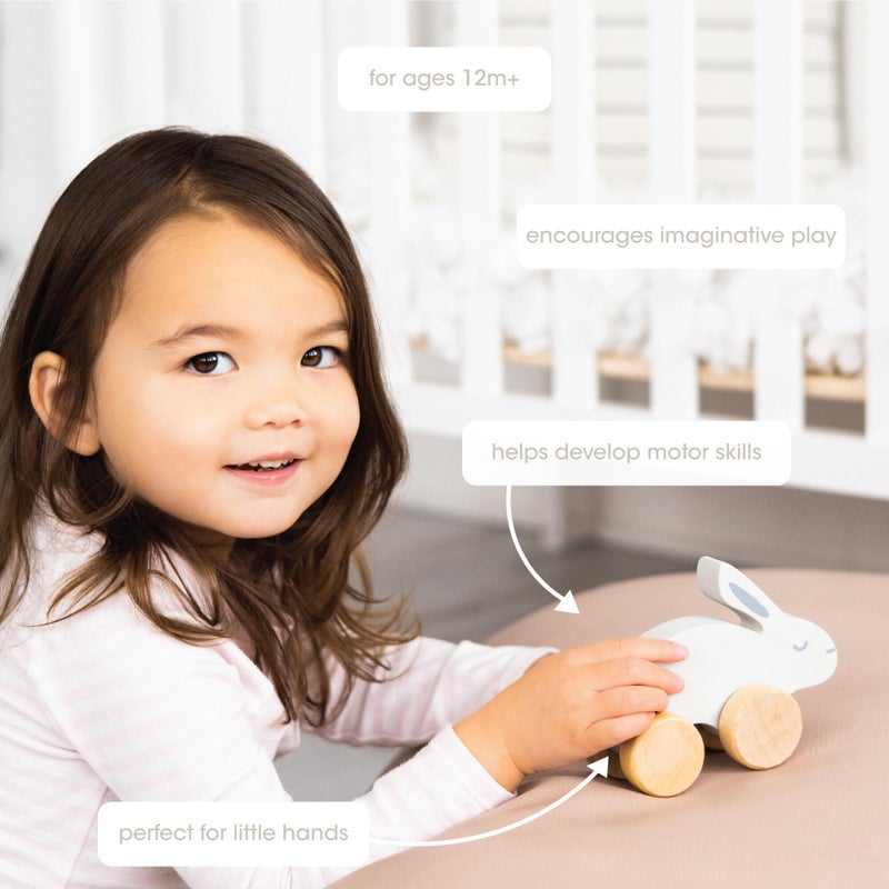 Pearhead Montessori Wooden Bunny Push-Pull Toy for Toddlers - Baby, Stocking Stuffers for Toddlers, Gray Rolling Rabbit Encourages Motor Skills & Imaginative Play - Image 2
