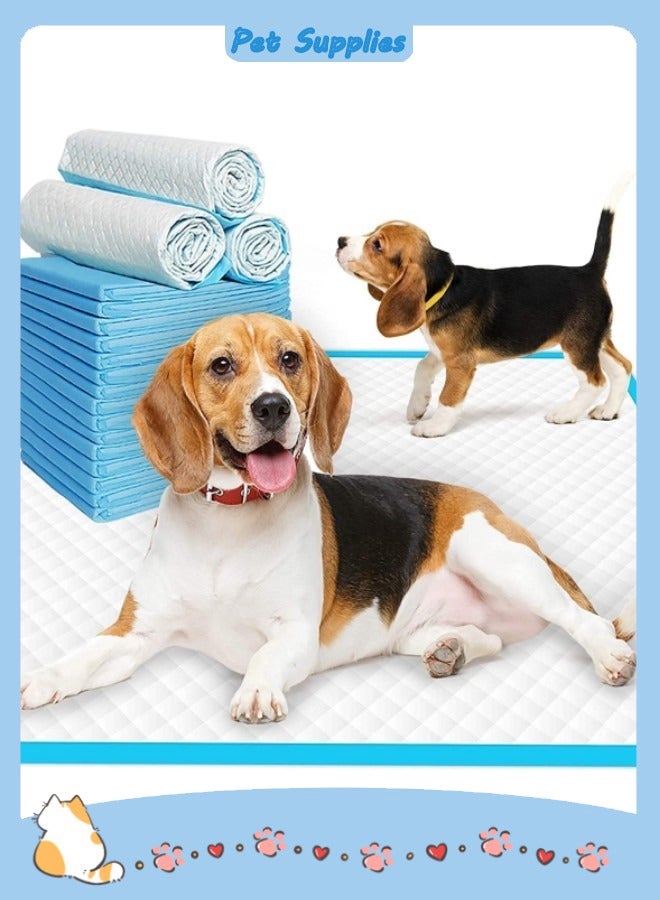 40 قطعة 23 * 23 بوصة طقم وسادات ماصة للاستخدام مرة واحدة للحيوانات الأليفة مكون من أزرق فاتح/ أبيض - Image 1