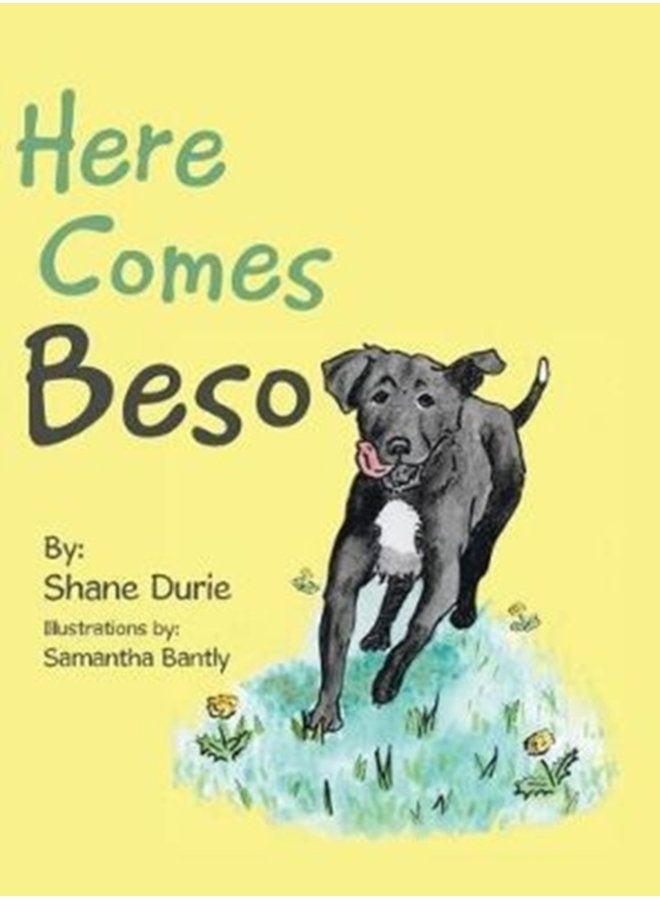 Here Comes Beso - Hardback