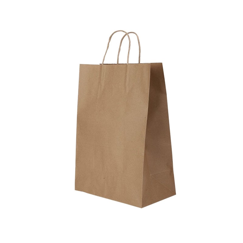 e kysa basics Brown Kraft Paper CarryGiftClothGrocery Recycled Eco Friendly Bags with handles 10 55 14 inches Pack of 15 pcs