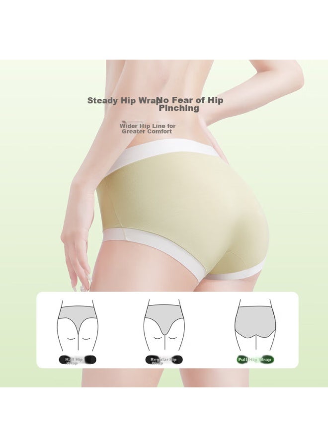 Youngyell Women's Underwear, Modal Seamless Large Size 7a, No-wash Antibacterial Mid-rise Women's Shorts, 4-pack Gift Box Set - Image 5