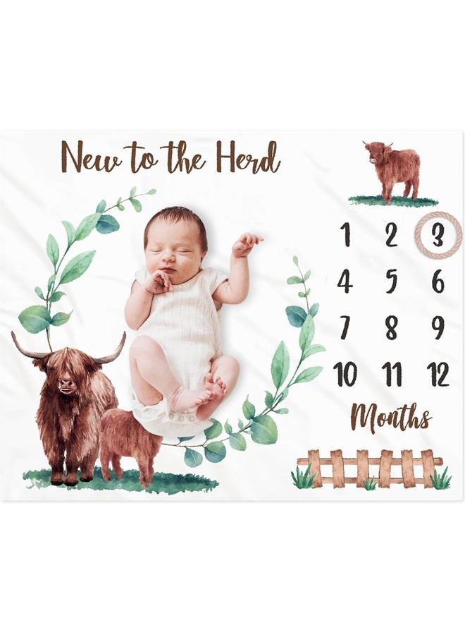 Gicoherero Highland Cow Baby Monthly Milestone Blanket Scotland Photo Prop Month Blanket Growth Chart Gift Ideas for Newborn Boy Girl Nursery Décor Baby Shower 40" X 50" - Image 1