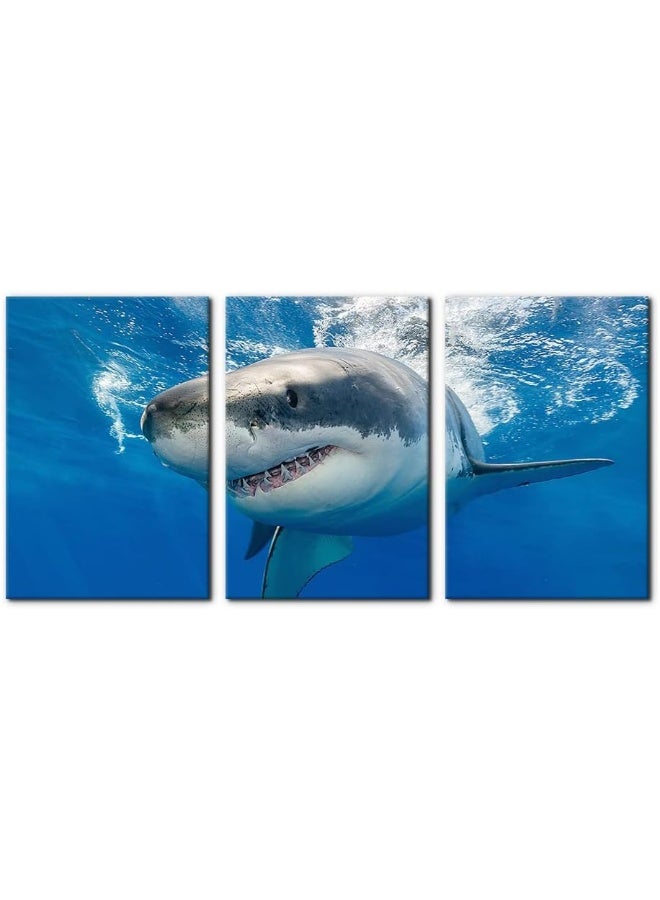 Pacimo 3 Piece Blue Wall Art Painting Great White Shark Catching Fish At Guadalupe Island Pictures Prints on Canvas Animal The Picture Decor for Home Modern Decoration for Living Room - 16"x24"x3 Panels - Image 1
