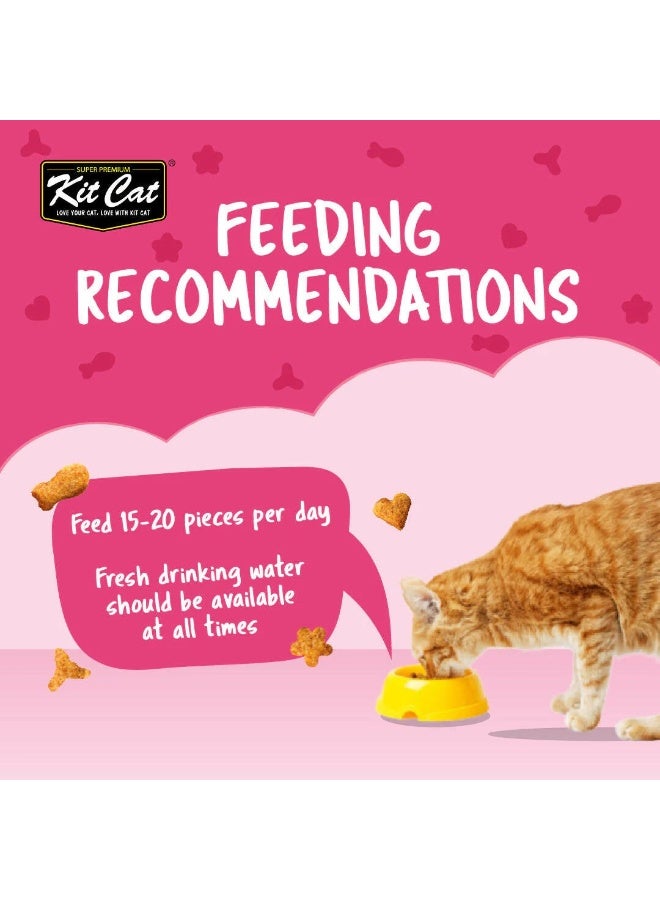 Kit Cat Kit Kat Crunch Cat Treats - Salmon (60g) - Image 2