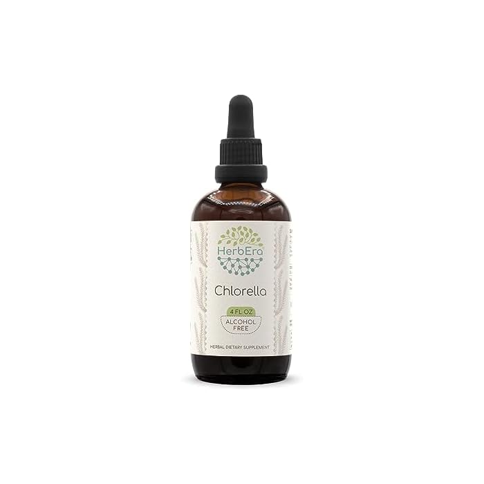 HerbEra Chlorella B120 Alcohol-Free Herbal Extract Tincture, Concentrated Liquid Drops Natural Chlorella (pyrenoidosa) Dried Entire Plant (4 fl oz) - Image 1