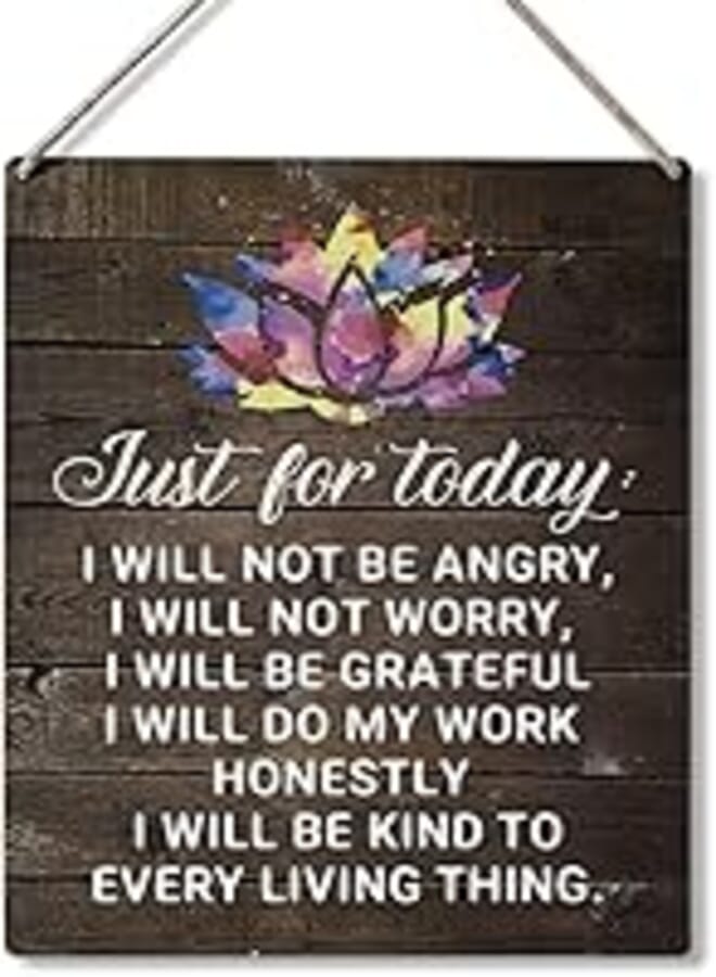 Inspirational Gift Signs Just for Today I Will Not Be Angry I Will Not Worry I Will Be Grateful Wooden Hanging Sign Rustic Art Wall Home Bathroom Decoration 10 x 8 Inches
