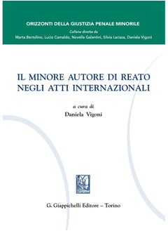 Il minore autore di reato negli atti internazionali (Orizzonte della giustizia penale minorile) 