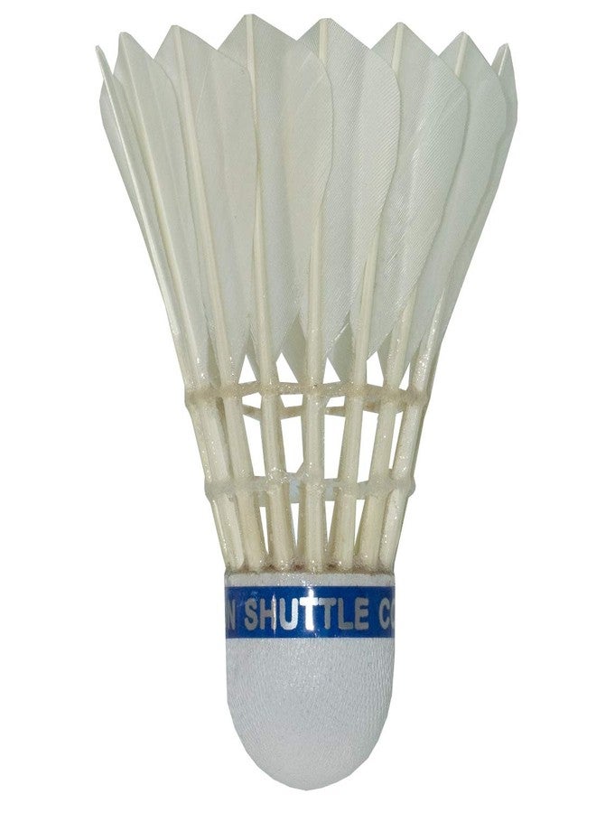 TRIUMPH Badminton Racket, Badminton Shuttle Cock, Badminton Racquet Triumph Passion 1 Pc with 10 Pc Triumph Neo Lite-220+ Duck Feather Shuttlecock & Full Racket Cover - Image 3