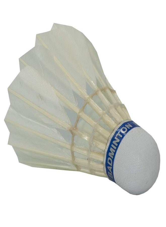 TRIUMPH Badminton Racket, Badminton Shuttle Cock, Badminton Racquet Triumph Passion 1 Pc with 10 Pc Triumph Neo Lite-220+ Duck Feather Shuttlecock & Full Racket Cover - Image 5