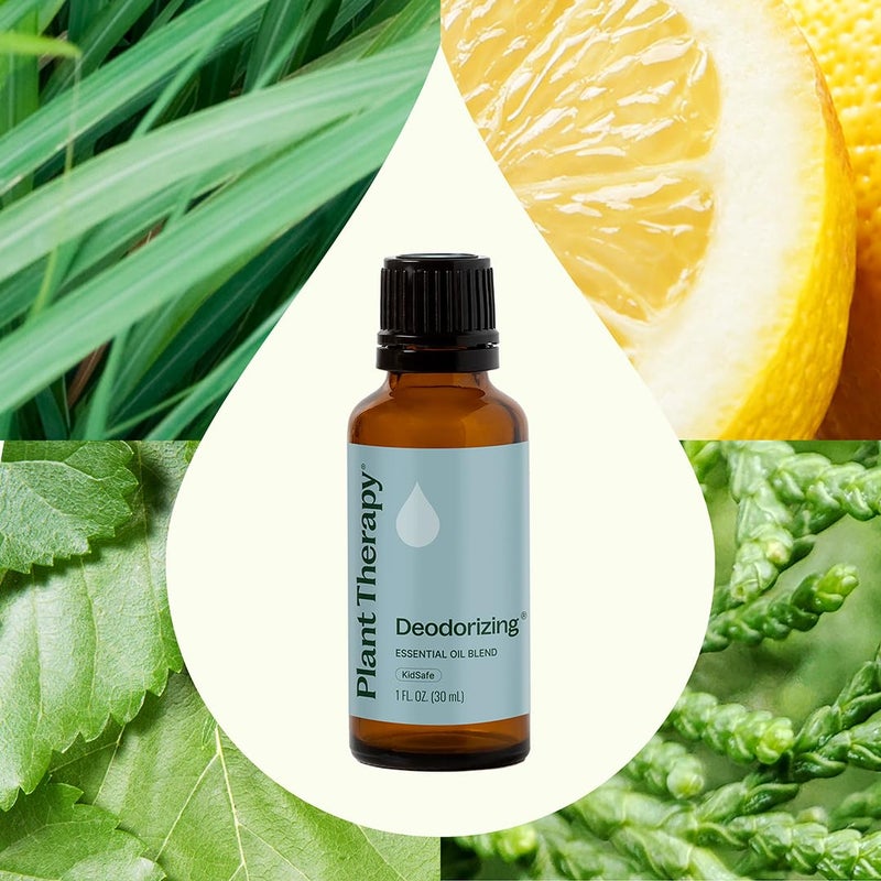 Plant Therapy Deodorizing Essential Oil Blend 30 mL (1 oz) 100% Pure, Undiluted, Therapeutic Grade - Image 3