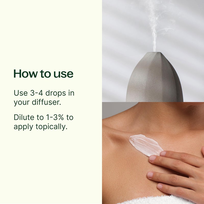 Plant Therapy Deodorizing Essential Oil Blend 30 mL (1 oz) 100% Pure, Undiluted, Therapeutic Grade - Image 2