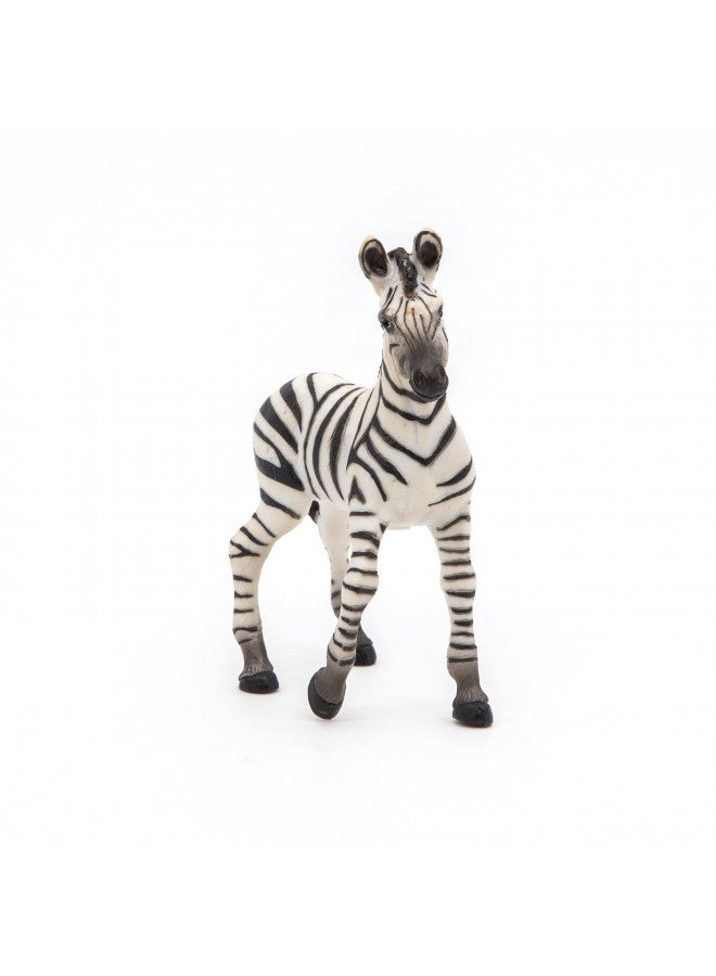 Papo -Hand-Painted - Figurine -Wild Animal Kingdom - Zebra Foal -50123 -Collectible - for Children - Suitable for Boys and Girls- from 3 Years Old - Image 4