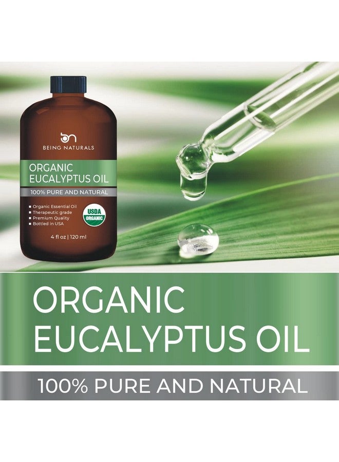 Being Naturals Organic Eucalyptus Essential Oil Huge 4 Fl Oz 100% Pure & Natural Premium Natural Oil With Glass Dropper (Eucalyptus Oil) - Image 4