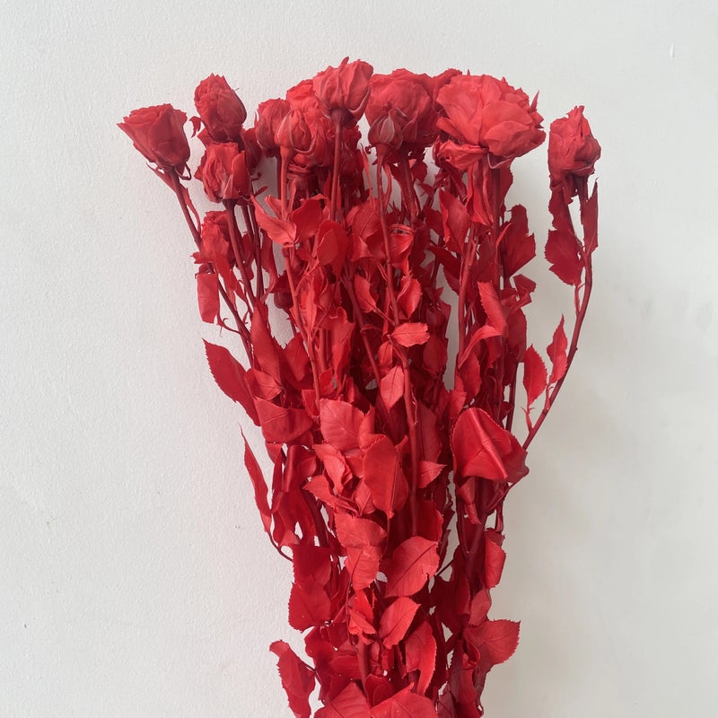 Bluejw Ly Supply Home Decoration Dried Flowers Bouquet - Natural Dried Plants Arrangement for Room Decor, Wedding, Photography Props - Image 1