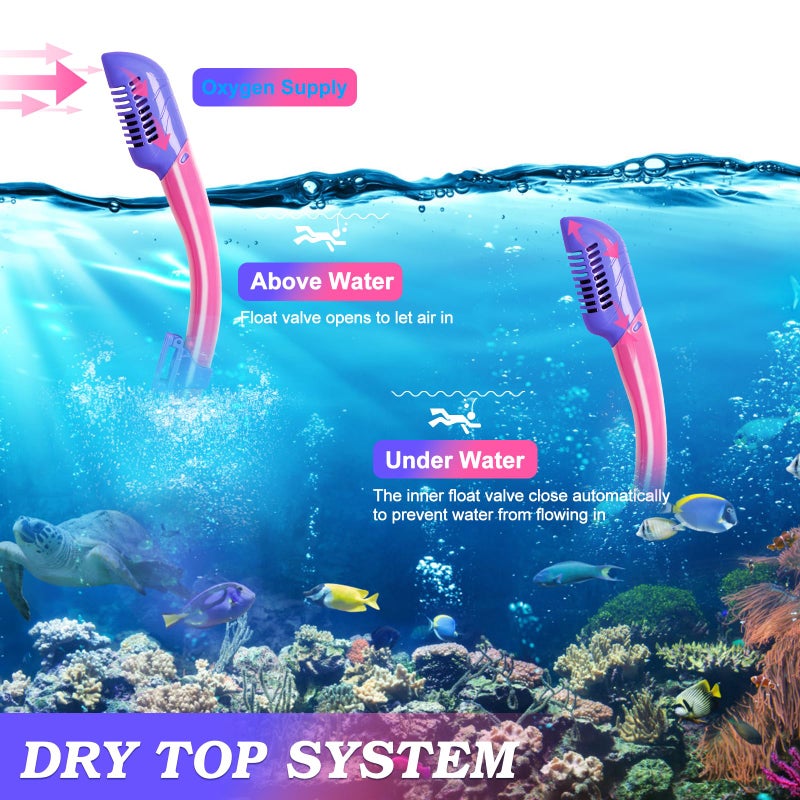 ACQCES Snorkeling Gear for Kids Ages 5-15, 4 in 1 Mask Fins Snorkel Set with HD Tempered Glass Panoramic View Anti-Fog Mask, Dry Top Snorkel, Adjustable Trek Fins, and Mesh Bag, Kids Snorkel Set for Youth - Image 5