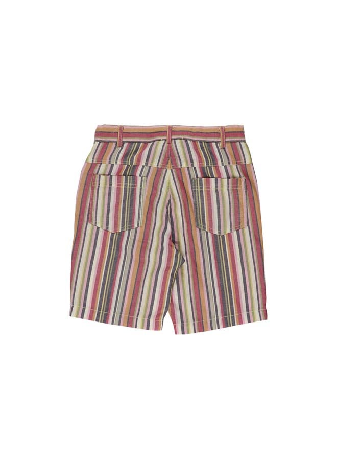 Panco FLEXIBLE Striped Shorts  - Image 5
