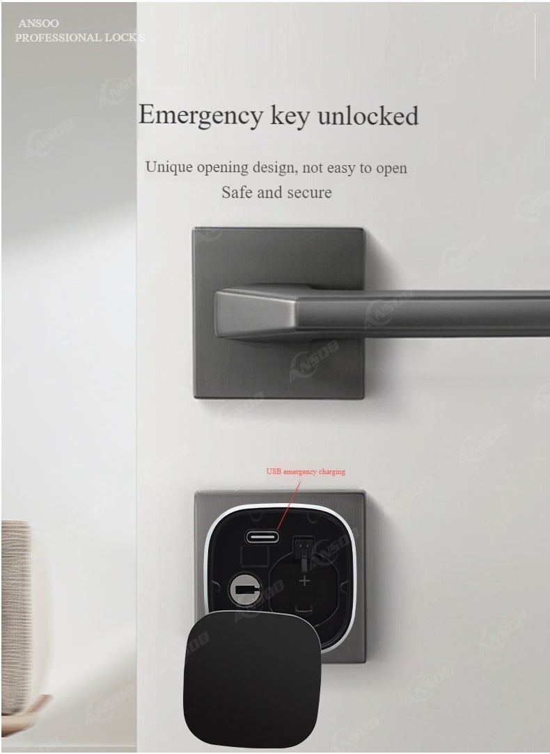 Generic Smart Door Lock Smart Lock ,Palm Print Unlock, Two way audio, Fingerprint Door Lock ,WiFi Door Lock With 6068 Mortise, Tuya App Control,Color grandminor  - Image 5