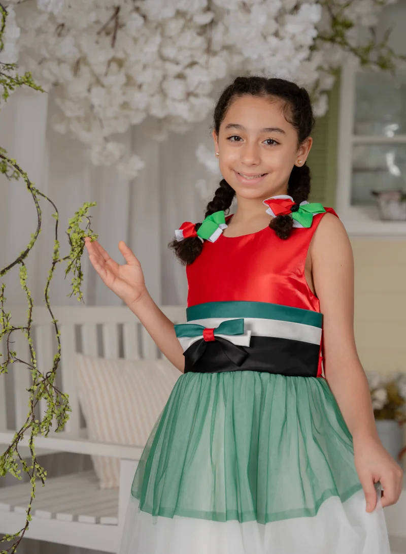D'Daniela Aisha UAE National Day Flag Dress
