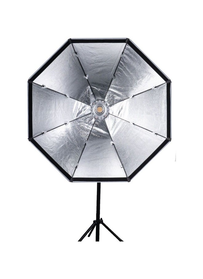 Aputure - Aputure Light OctaDome 120 Bowens Mount Octagonal Softbox with Grid (47.2") - Image 1