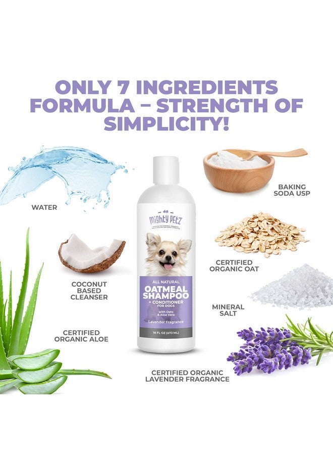 مايتي بيتز شامبو وبلسم مايتي بيتز 2 في 1 بدقيق الشوفان للكلاب - 16 أونصة. دعم طبيعي للحساسية والحكة. مرطب ومتوازن الحموضة للكلاب، بخلاصة الشوفان والصبار. - Image 2