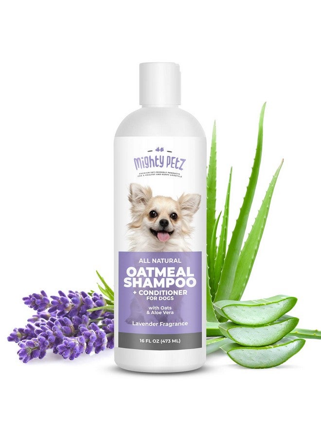 مايتي بيتز شامبو وبلسم مايتي بيتز 2 في 1 بدقيق الشوفان للكلاب - 16 أونصة. دعم طبيعي للحساسية والحكة. مرطب ومتوازن الحموضة للكلاب، بخلاصة الشوفان والصبار. - Image 1
