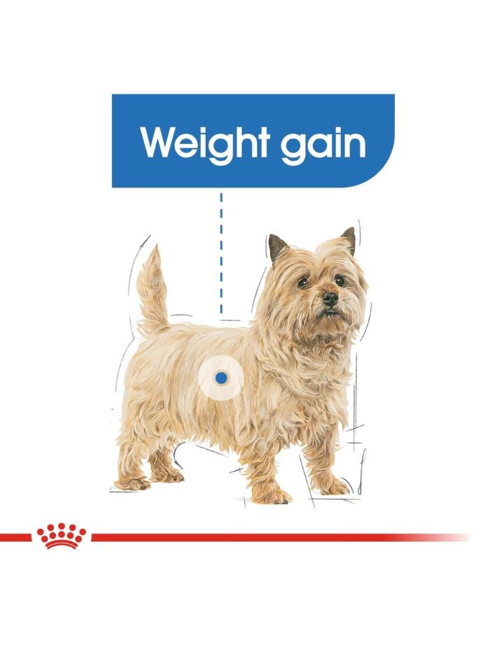 ROYAL CANIN Canine Care Nutrition Light Weight Care (WET FOOD - Pouches) 12 x 85g - Image 5