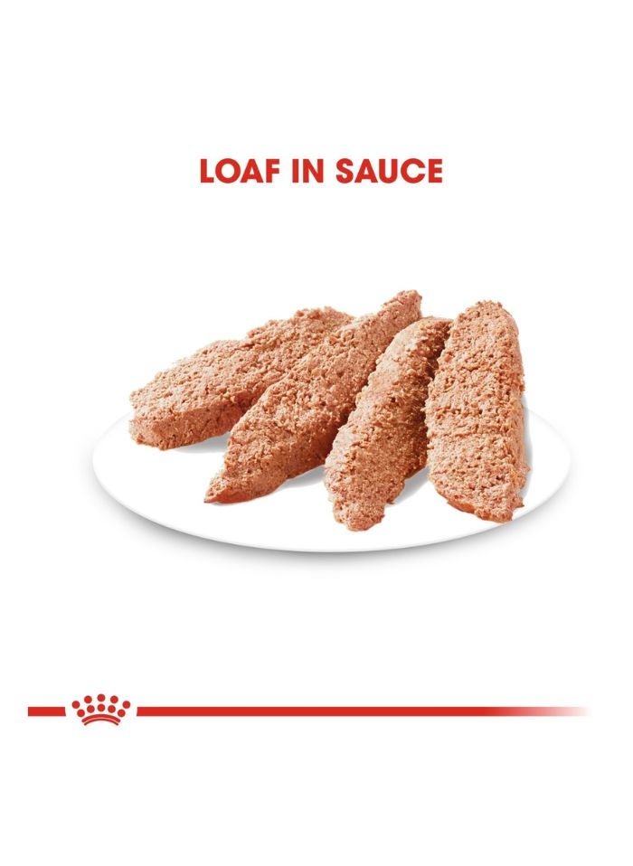 ROYAL CANIN Canine Care Nutrition Light Weight Care (WET FOOD - Pouches) 12 x 85g - Image 2