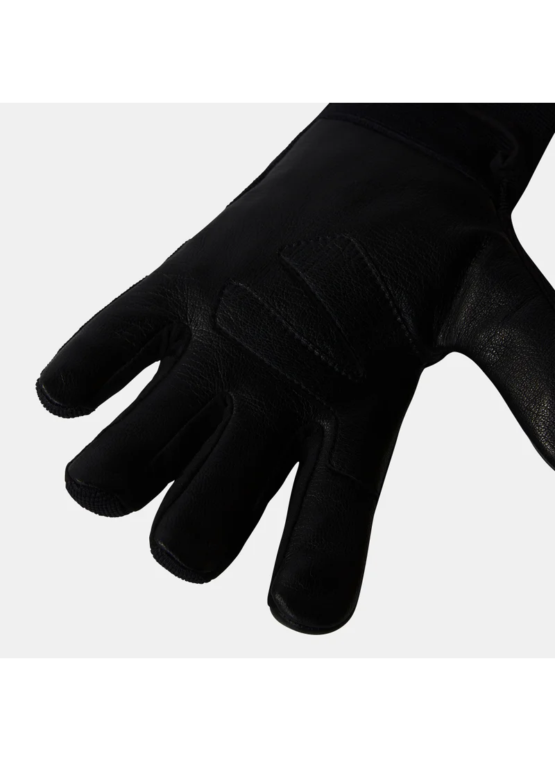 THE NORTH FACE Amp Gloves