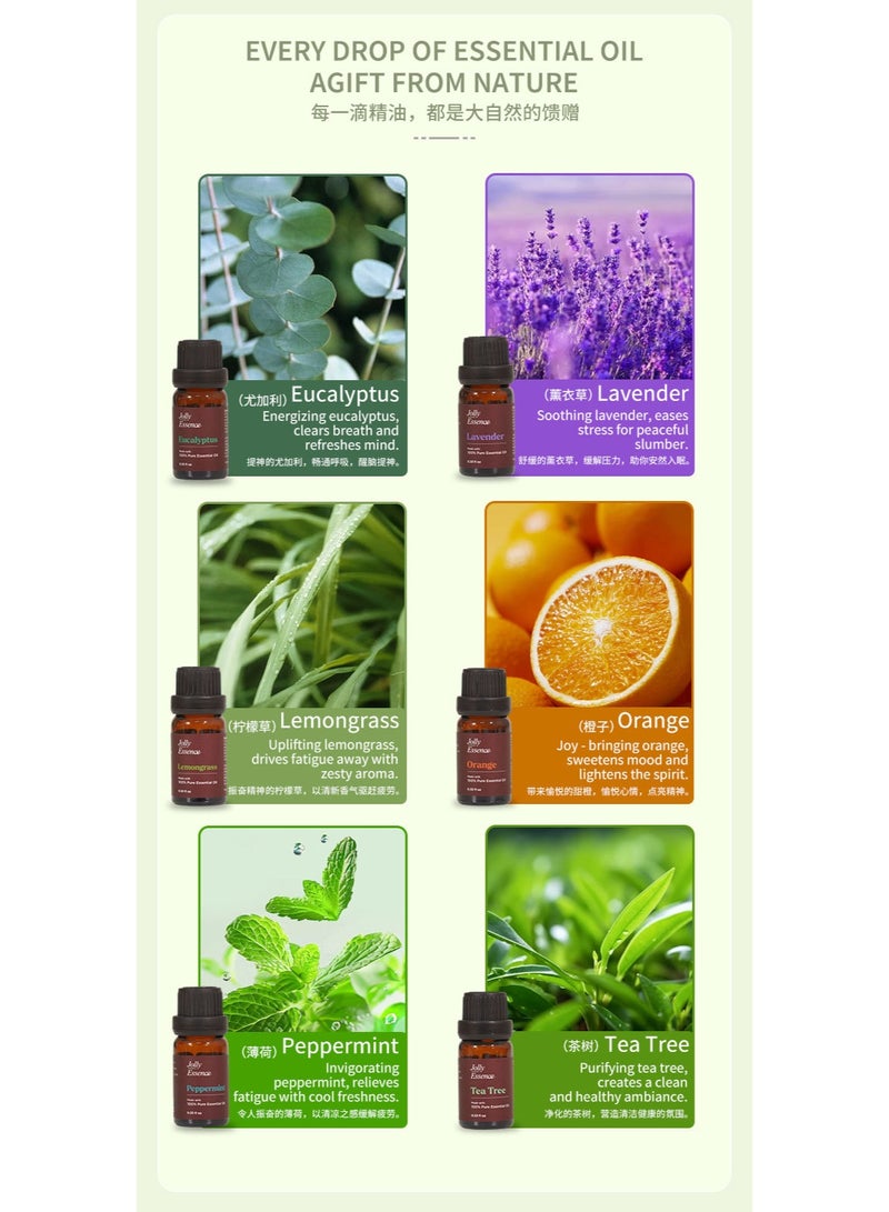 جولي مجموعة زيوت عطرية من شجرة الشاي والبرتقال الحلو والخزامى - 6 قطع (10 مل/زجاجة) - Image 4