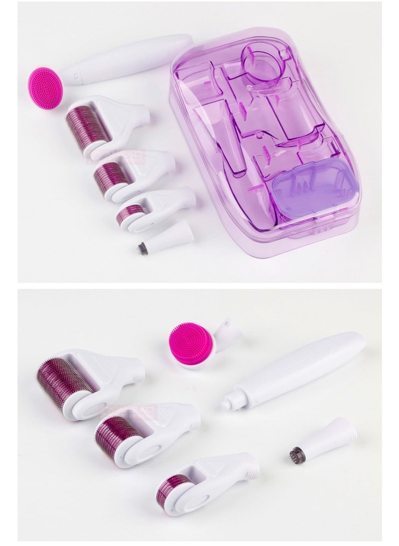 6 in 1 Micro Needle Roller Kit White/Pink